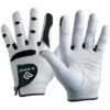 Bionic StableGrip Golf Glove -Silver Putters bionic white