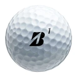 Bridgestone E6 Golf Balls -Silver Putters bridgestone 2023 e6 white golf balls ballstamp itempicture 1