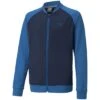 Puma Boys Full Zip Jacket -Silver Putters puma 2021 boys full zip jacket star sapphire itempicture