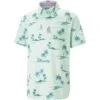Puma Cloudspun Low Tide Polo -Silver Putters puma cloudspun low tide polo minty burst itempicture