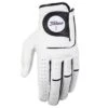 Titleist Players Flex Golf Glove -Silver Putters titleist players flex golf glove 02