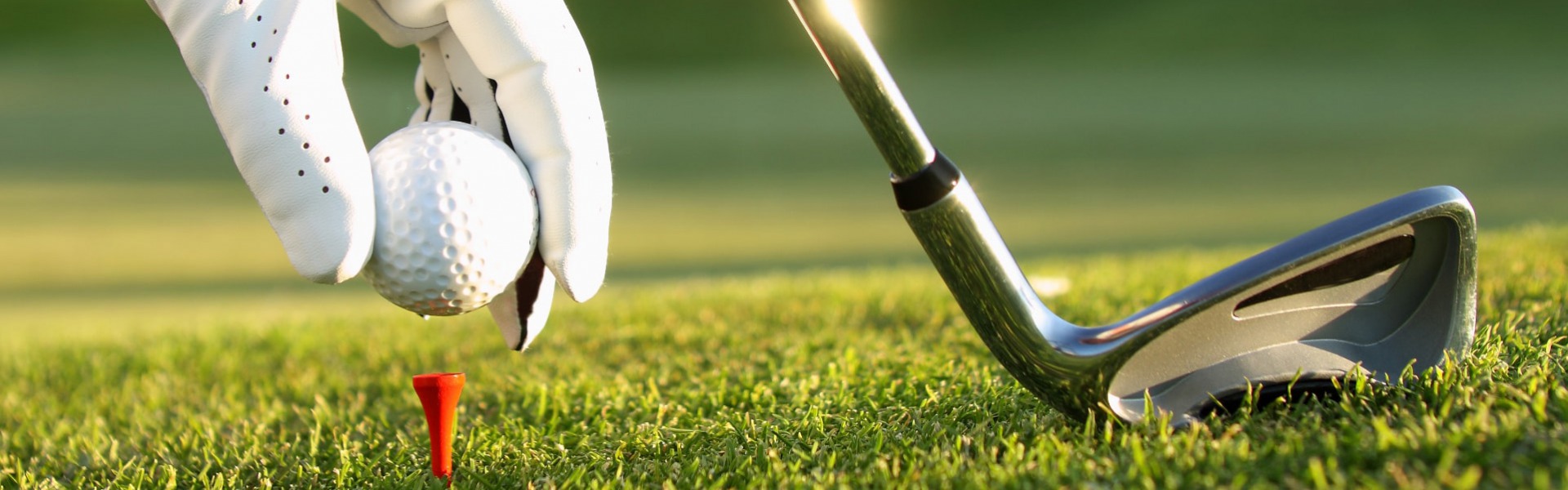 Silver Putters -Silver Putters the golf house 240108092214 240110140030